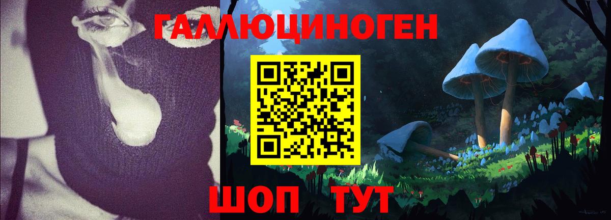 Псилоцибиновые грибы GOLDEN TEACHER  Вход с VPN  Южноуральск 