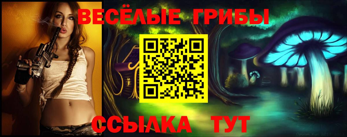 Галлюциногенные грибы Psilocybe Южноуральск